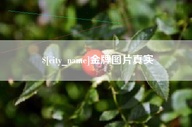 江山金牌图片真实