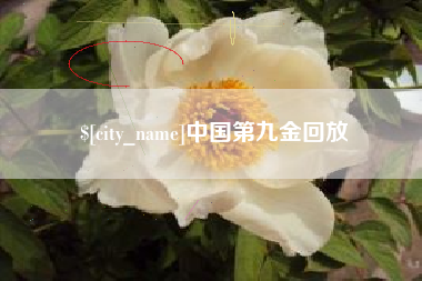 江山中国第九金回放