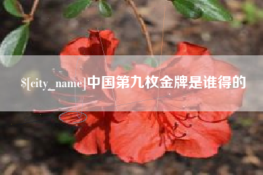 江山中国第九枚金牌是谁得的