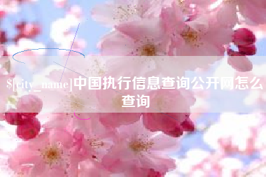 江山中国执行信息查询公开网怎么查询
