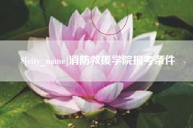 江山消防救援学院报考条件