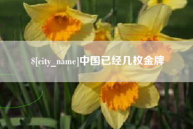江山中国已经几枚金牌