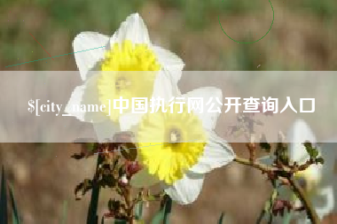 江山中国执行网公开查询入口