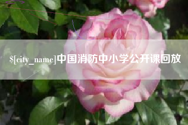 江山中国消防中小学公开课回放