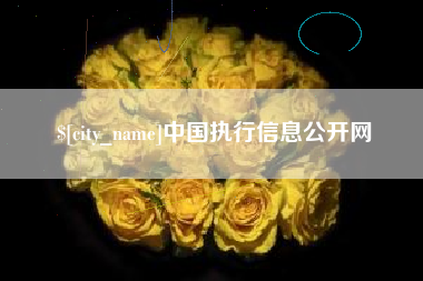 江山中国执行信息公开网