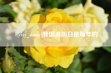 江山我国消防日是每年的