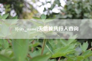 江山失信被执行人杳询