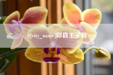 江山邱县王子磊