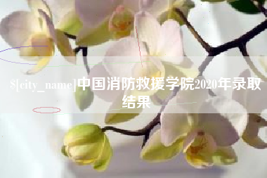 江山中国消防救援学院2020年录取结果