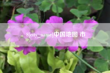 江山中国地图 市