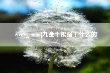 江山九金十银是干什么的
