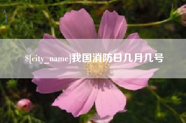 江山我国消防日几月几号