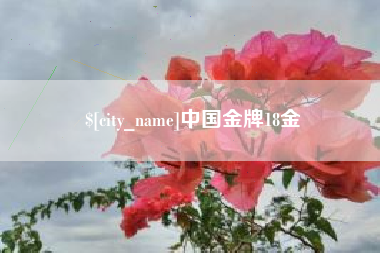 江山中国金牌18金