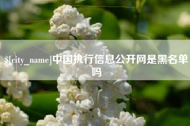 江山中国执行信息公开网是黑名单吗