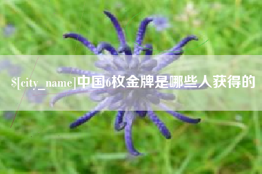 江山中国6枚金牌是哪些人获得的