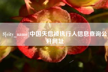 江山中国失信被执行人信息查询公开网址