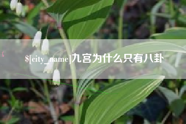 江山九宫为什么只有八卦
