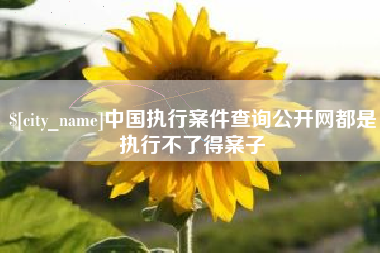 江山中国执行案件查询公开网都是执行不了得案子