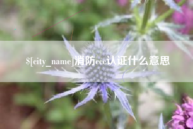 江山消防ccc认证什么意思