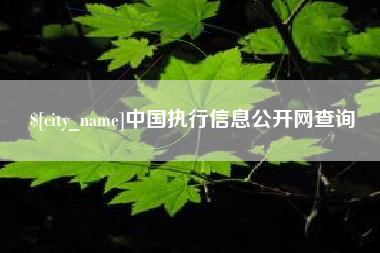 江山中国执行信息公开网查询