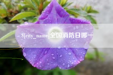 江山全国消防日哪一