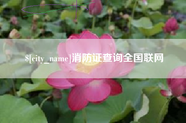江山消防证查询全国联网