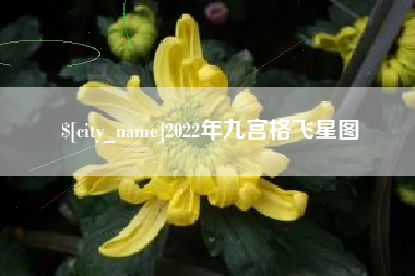 江山2022年九宫格飞星图