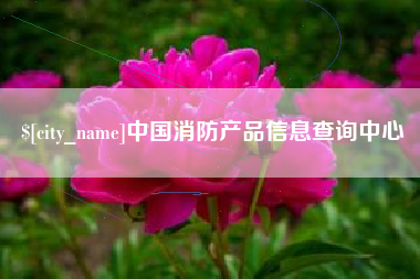 江山中国消防产品信息查询中心