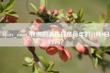 江山我国的消防日是每年的11月9日对吗？
