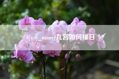 江山九宫如何排日