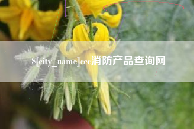 江山ccc消防产品查询网
