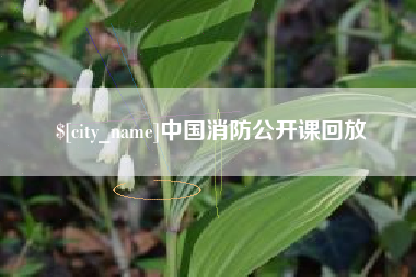 江山中国消防公开课回放