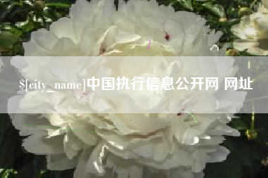 江山中国执行信息公开网 网址