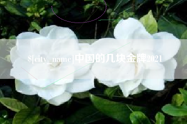 江山中国的几块金牌2021