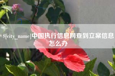江山中国执行信息网查到立案信息怎么办