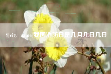 江山我国消防日是几月几日几日