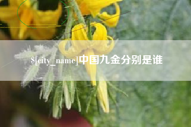 江山中国九金分别是谁