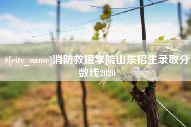 江山消防救援学院山东招生录取分数线2020
