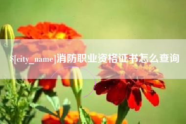 江山消防职业资格证书怎么查询
