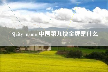 江山中国第九块金牌是什么