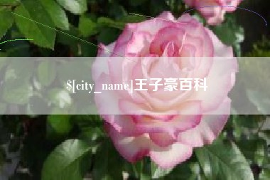 江山王子豪百科