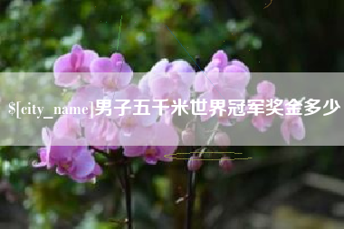 江山男子五千米世界冠军奖金多少
