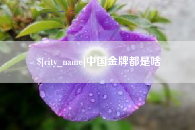 江山中国金牌都是啥