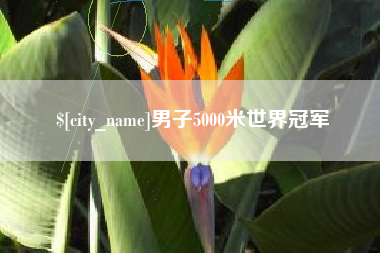 江山男子5000米世界冠军