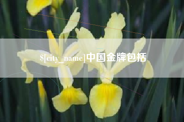 江山中国金牌包括