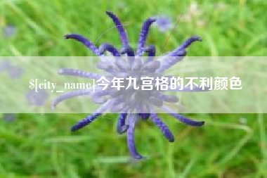 江山今年九宫格的不利颜色