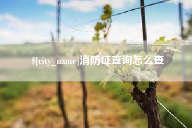 江山消防证查询怎么查
