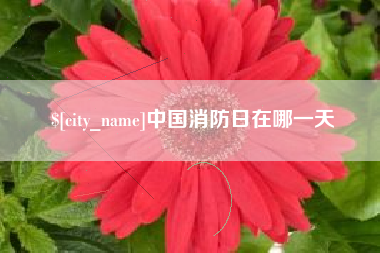 江山中国消防日在哪一天