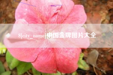 江山中国金牌图片大全