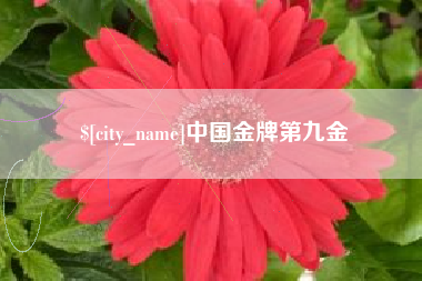 江山中国金牌第九金
